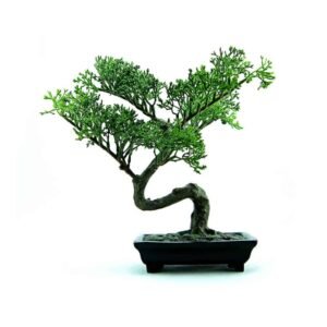 pic45 free img.jpg